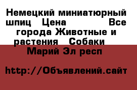 Немецкий миниатюрный шпиц › Цена ­ 60 000 - Все города Животные и растения » Собаки   . Марий Эл респ.